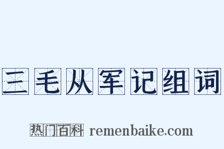 三毛从军记组词是什么意思的图片